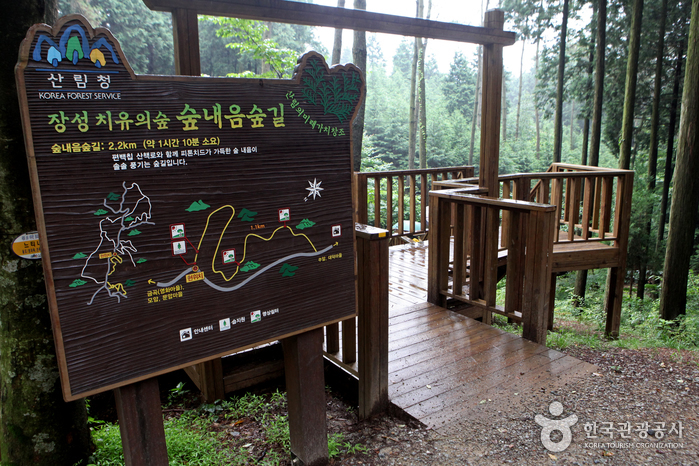숲내음숲길