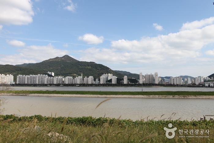 Nakdonggang Bird Sanctuary (Eulsukdo Island) (을숙도 철새공원)