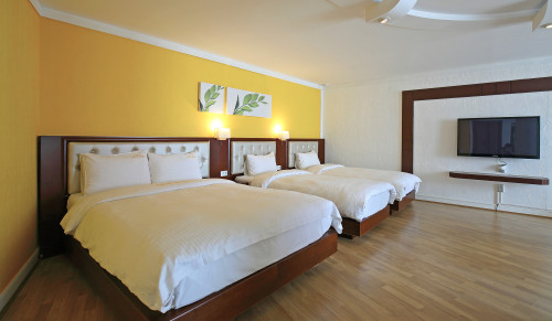 BENIKEA Swiss Rosen Hotel (베니키아 스위스로젠호텔)