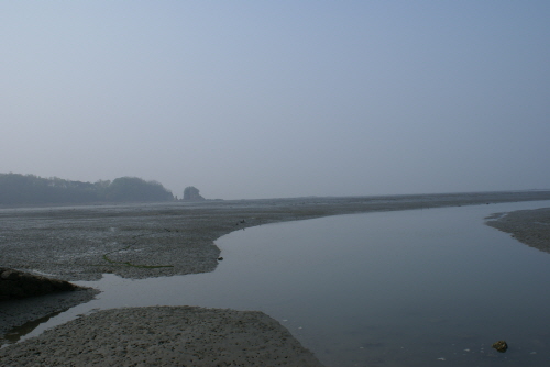 화성 백미리마을3