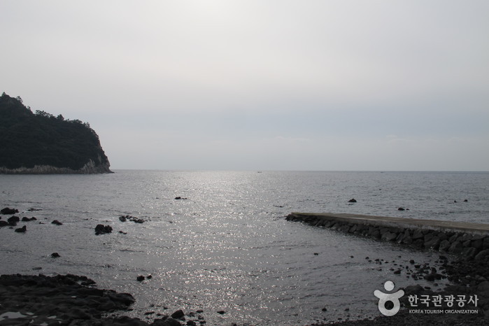 [제주올레 6코스] 쇠소깍-서귀포 올레9