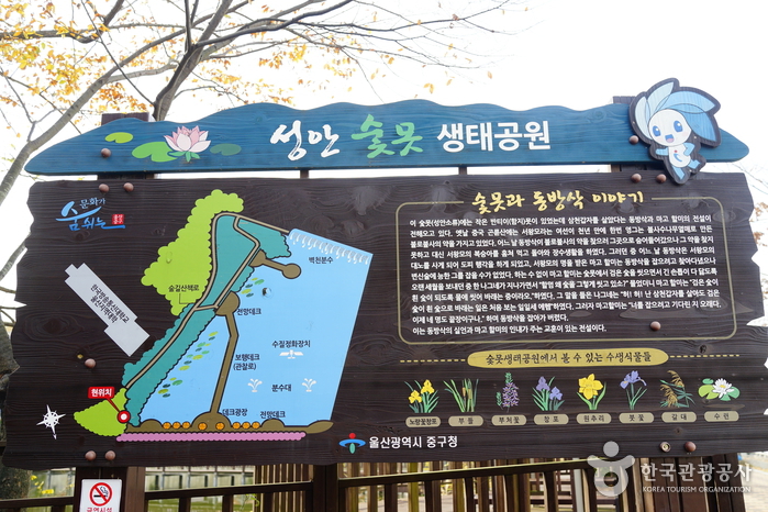 Sunmot Ecological Park (숯못 생태공원)