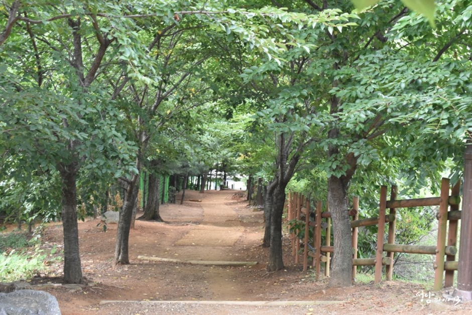 영장공원