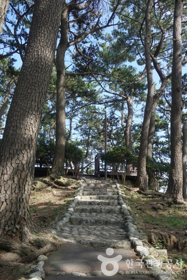 송정 죽도공원