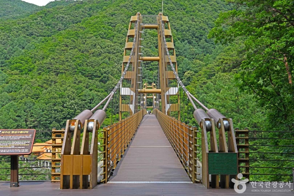 증평 좌구산 명상구름다리