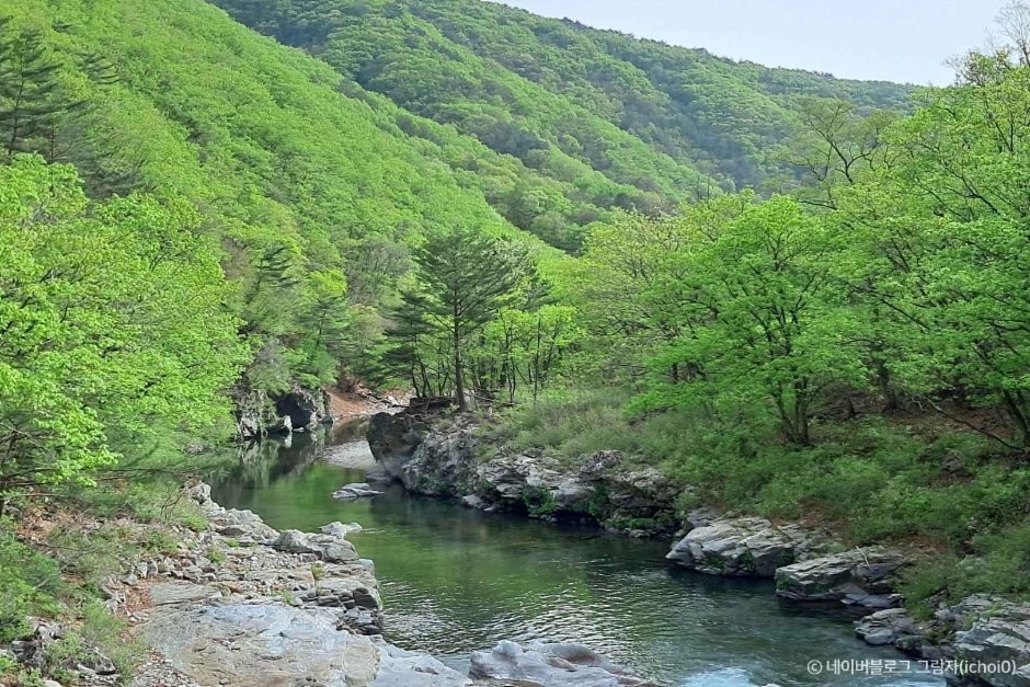 두타연 평화누리길