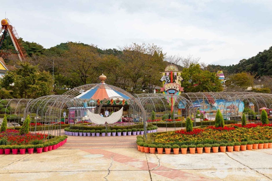 thumbnail-광주패밀리랜드-16