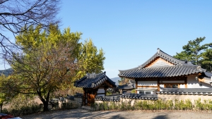 금시당 (5)
