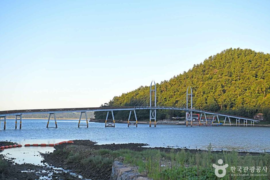 驾牛岛吊桥 (가우도 출렁다리)