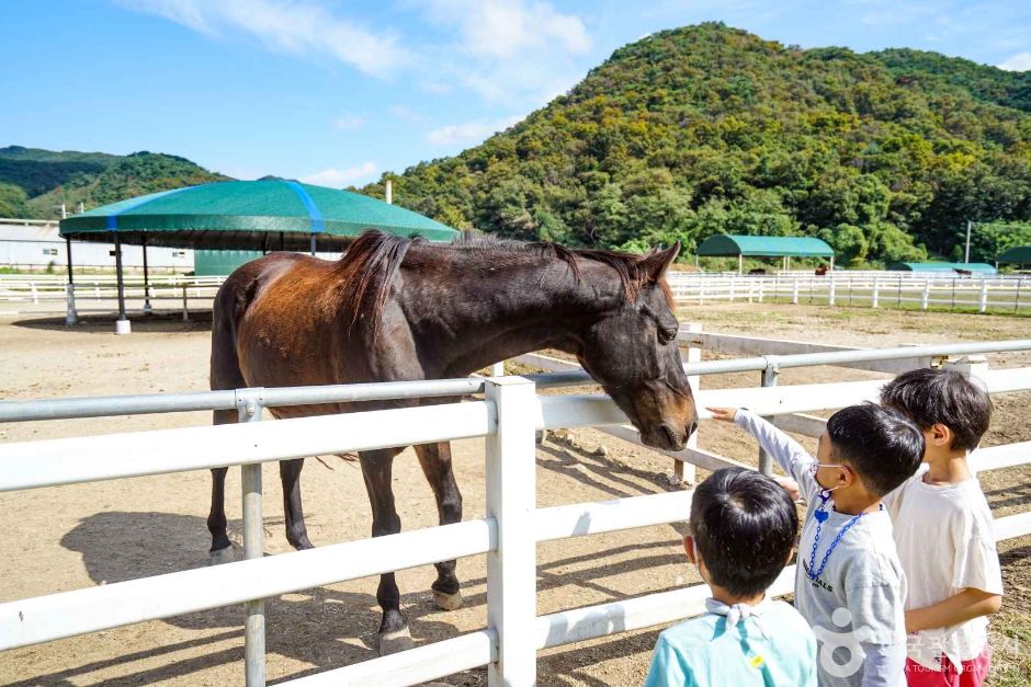 경기_연천_연천승마공원 (6)