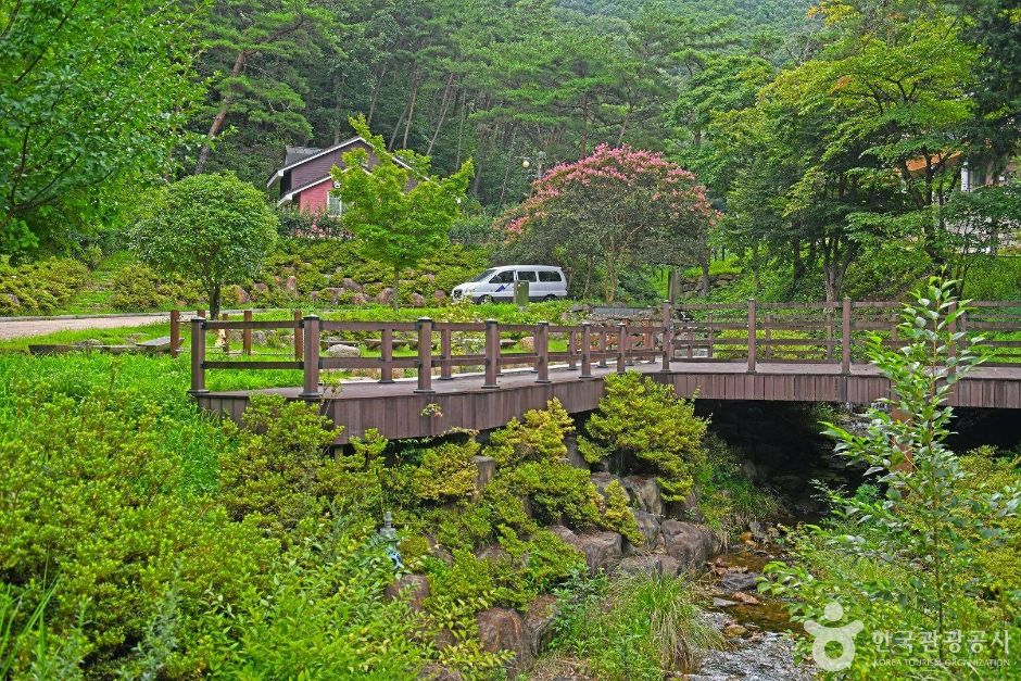 순천자연휴양림