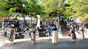  2025 청남대 봄꽃축제 영춘제 5