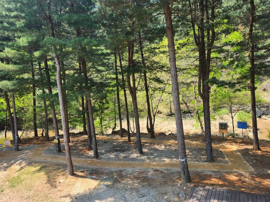 가평_칼봉산자연휴양림_전경 (7)