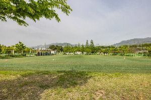 부산_대저수문생태공원 (9)