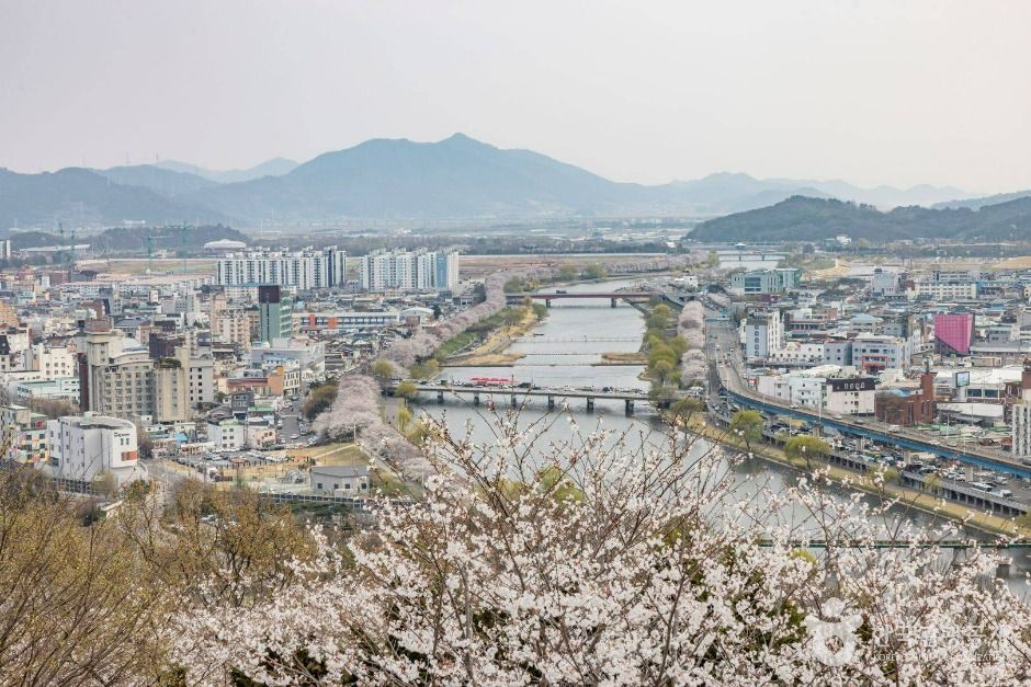 죽도봉공원 (11)