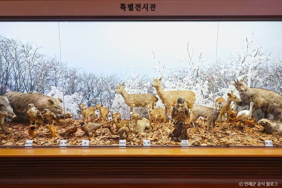 인제_인제산촌민속박물관 (5)