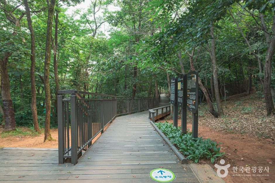 우장산공원