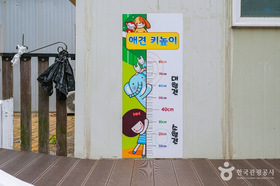 울산애견공원