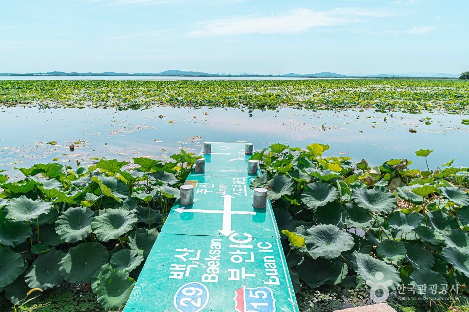 부안_청호저수지 (2)