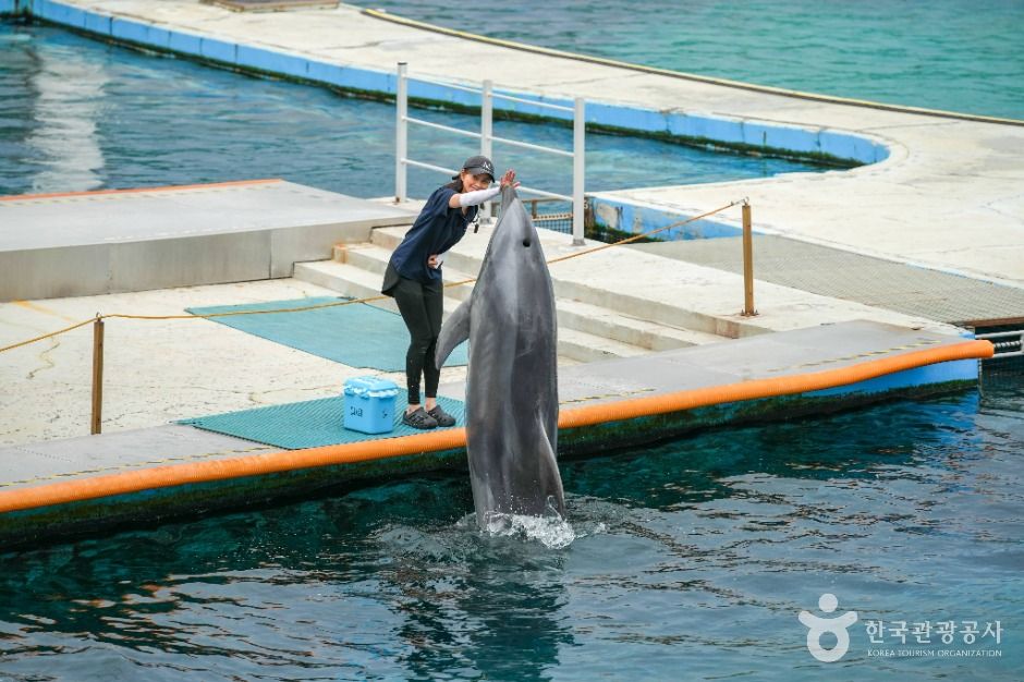 거제_거제씨월드 (3)