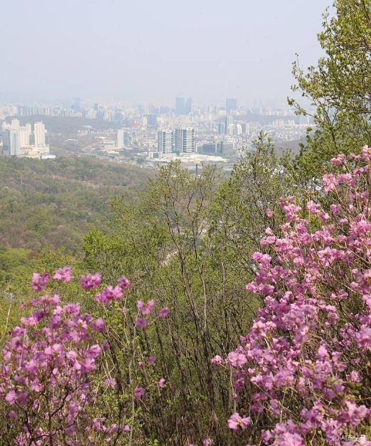 청계산