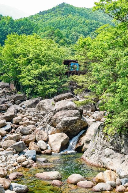 산청_중산리계곡 (3)
