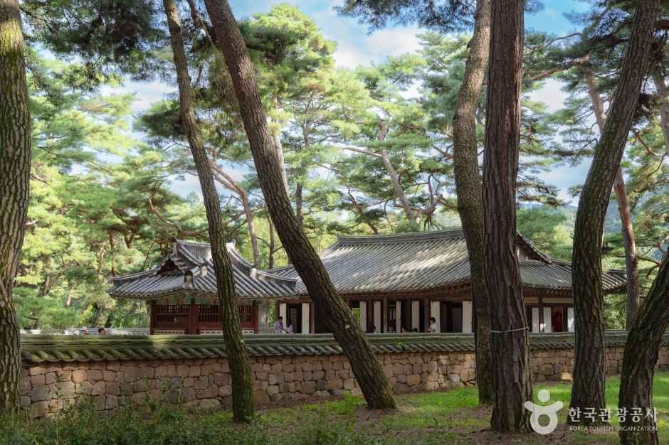 청령포 (강원고생대 국가지질공원)