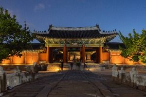 서울_창경궁 (12)