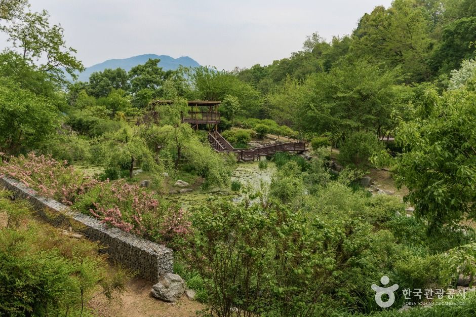 우면산자연생태공원