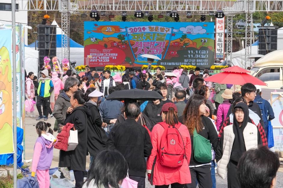 2025 청춘양구 펀치볼 시래기사과축제 7