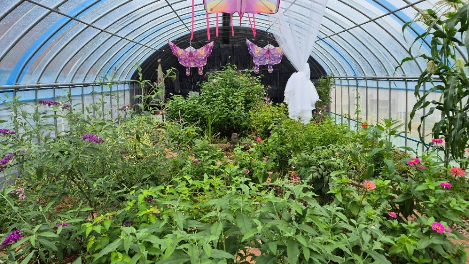 Suncheon Insect Museum (순천곤충박물관)