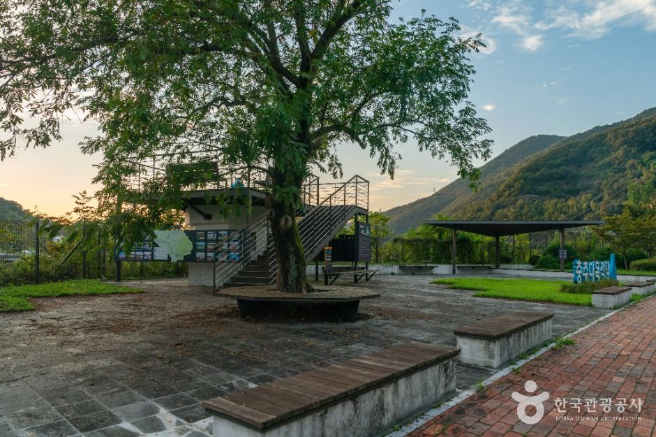 충주_충주댐 (3)