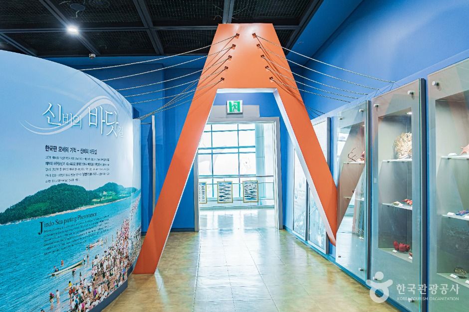 진도_진도해양생태관 (5)