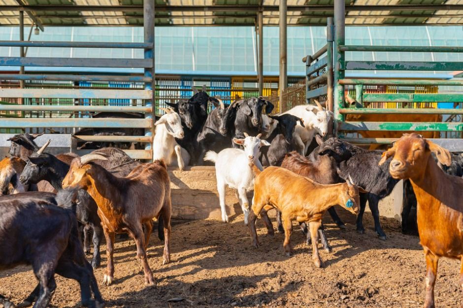 보은_산모랭이풀내음 (4)