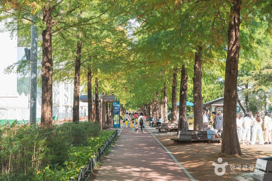 thumbnail-대전엑스포시민광장-4