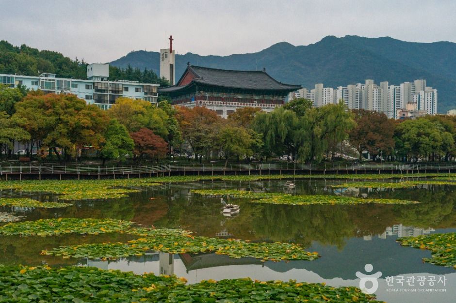 thumbnail-성당못-3