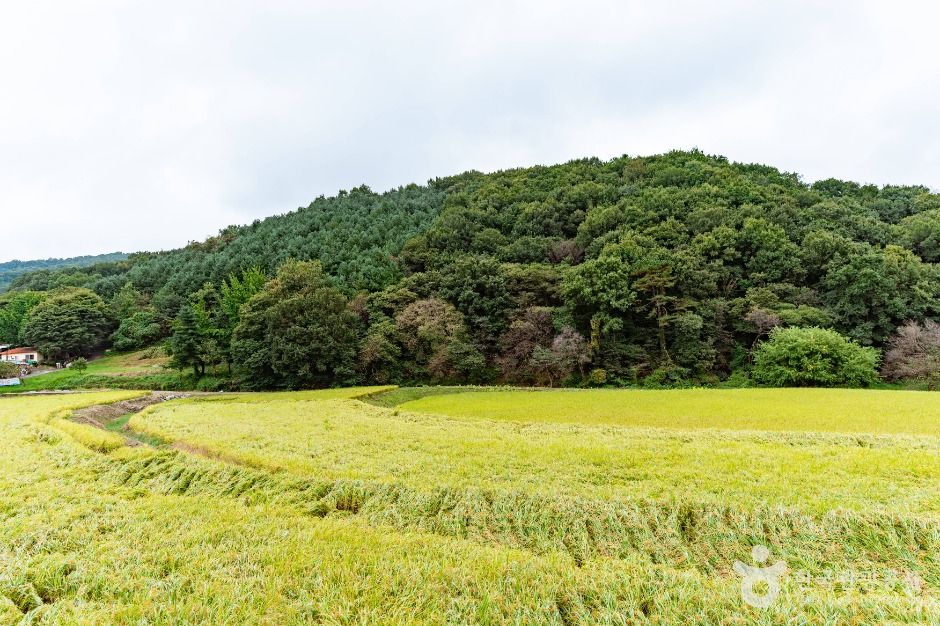 thumbnail-아산 대통령마을(농촌전통테마)-4