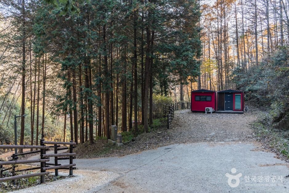 임실_왕의숲 국민여가캠핑장 (12)