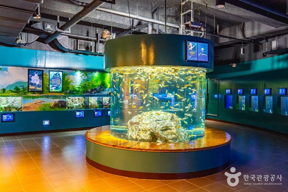 울진_민물고기생태체험관 (2)