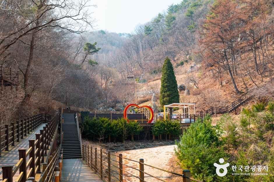 thumbnail-좌구산 자연휴양림-14