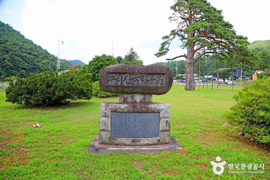 thumbnail-보은 속리 정이품송-12