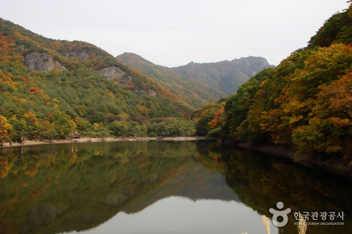 Jusanji Pond (주산지)