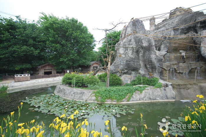 Seoul Grand Park (서울대공원-서울동물원)