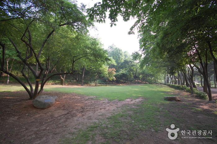 Kwanak-Arboretum der Seoul National University (서울대 관악수목원)