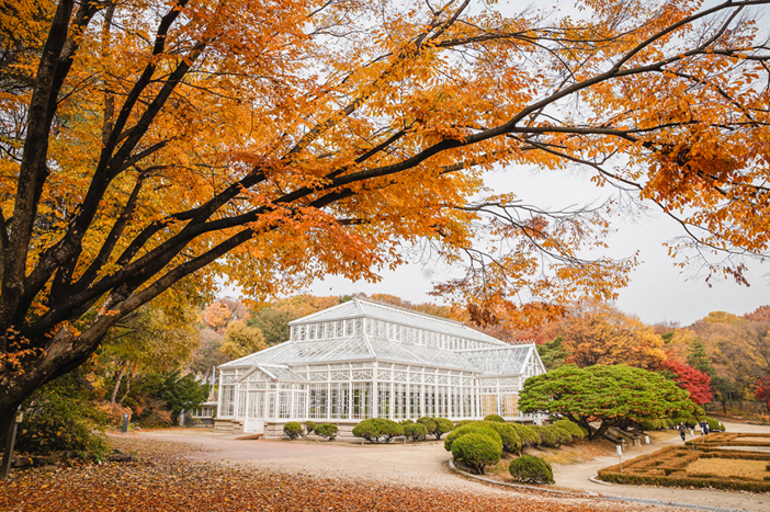 Gewächshaus im Palast Changgyeonggung