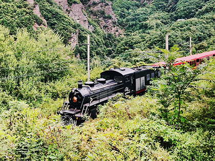 [Samcheok, ChooChoo Park]ChooChoo Park, the Korean Resort where to sleep on a train and ride on trains