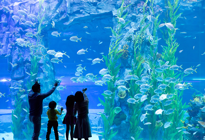 Lotte World Aquarium (Quelle: Lotte World)