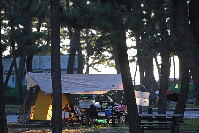 A Romantic Camping Trip to Taeanhaean National Park's Hakampo & Mongsanpo Auto Campgrounds