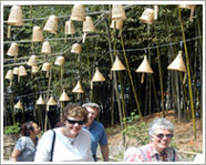 Bamboo Festival