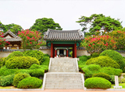 Hallyu image